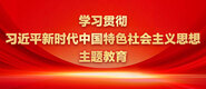 性感黑丝美女被操视频影院学习贯彻习近平新时代中国特色社会主义思想主题教育_fororder_ad-371X160(2)